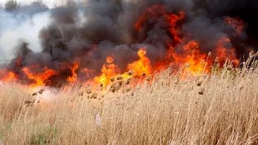 Panică pe AUTOSTRADA SOARELUI din cauza unui incendiu de vegetaţie!