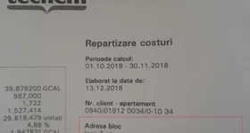 Galerie foto - poza 4