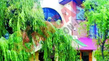 Au pus capcane pentru tantari in oras!