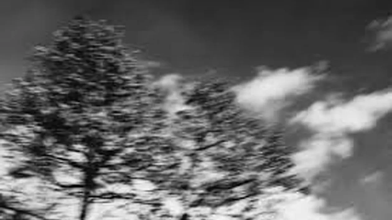 ANM: nu e normal așa ceva în România! Cum va fi vremea până luni, 18 noiembrie