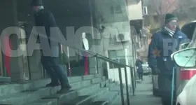 Galerie foto - poza 2