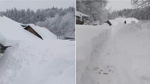 Strat de zăpadă de doi metri în Buzău! Casele din Bisoca au fost acoperite aproape în întregime de ninsoare  