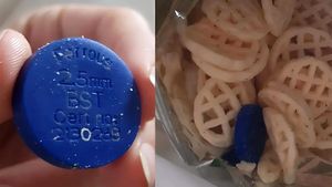 "Am găsit acest disc albastru într-o pungă de chipsuri". Ce era, de fapt