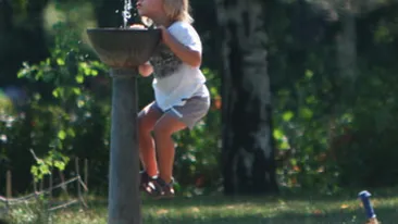 Baietelul Corinei Bud si-a descoperit pasiunea pentru alpinism. Robin s-a transformat in Spiderman