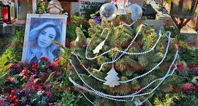 Galerie foto - poza 3