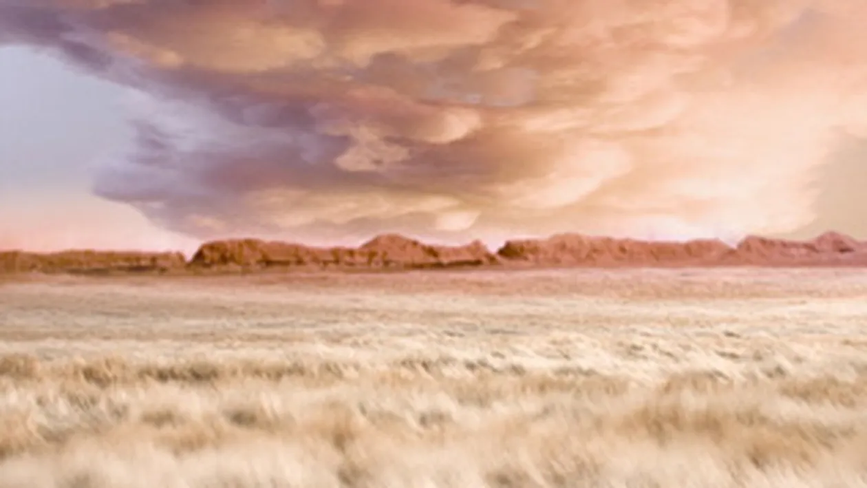 Face arta din blana falsa si bumbac