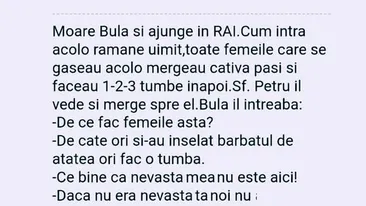 BANC | Moare Bulă și ajunge în Rai