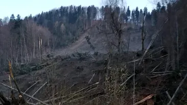 Alertă în Prahova! A avut loc o alunecare de teren și au fost evacuate 150 de persoane