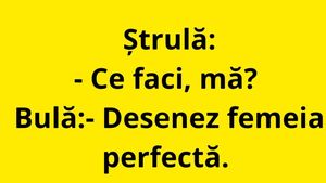 BANC | Bulă desenează femeia perfectă