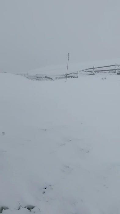 Suceava, Giumalău || Rarău. Sursă: Facebook Meteoplus