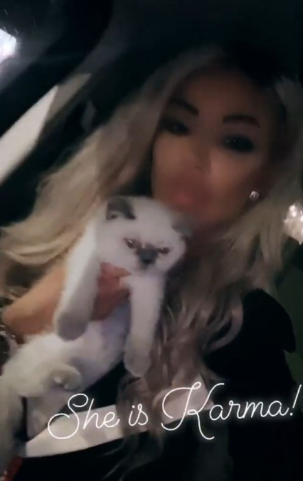 Ce vârstă are pisica ta în ani omenești. Calculul e foarte simplu! Vezi ce vedete preferă micuțele feline și cine a ales să își ia câine