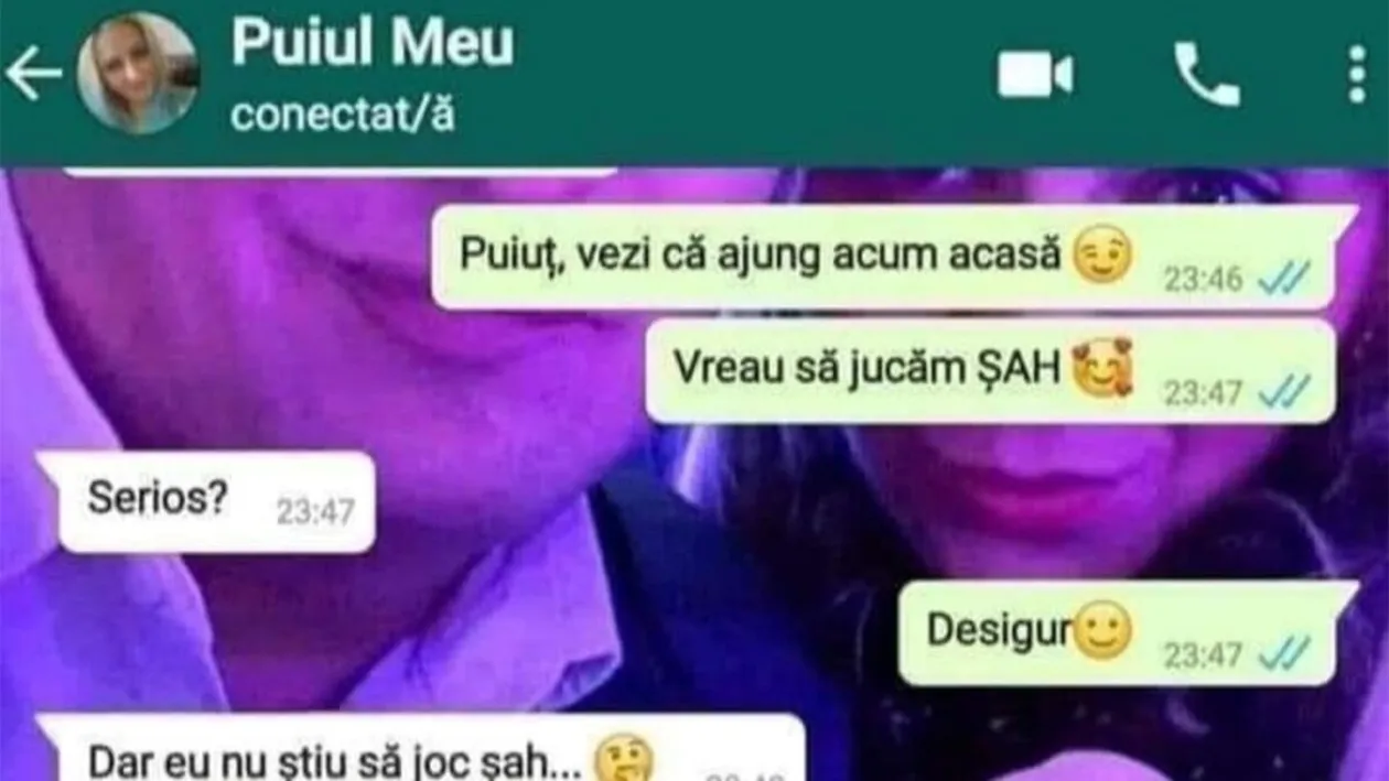 Bancul sfârșitului de săptămână | Puiuț, vreau să jucăm șah