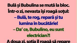 BANC | Bulă și Bubulina se mută la bloc