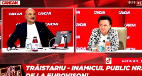 Galerie foto - poza 4