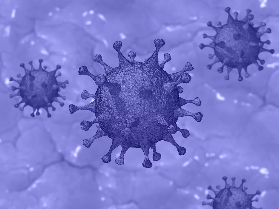 – Sunați la 112 dacă aveți febră, tușiți sau v-ați întors din China sau zonele in carantina din Europa de cel puțin 14 zile;
– Animalele de companie nu transmit coronavirus. © pixabay.com
