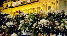 Galerie foto - poza 2