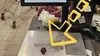 Un român a cumpărat o singură cireașă din Kaufland. Câți lei a plătit pentru ea