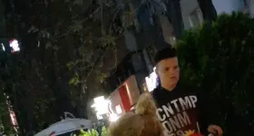 Galerie foto - poza 2