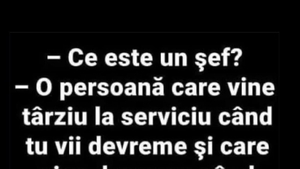 Bancul sfârșitului de săptămână | Ce este un șef?