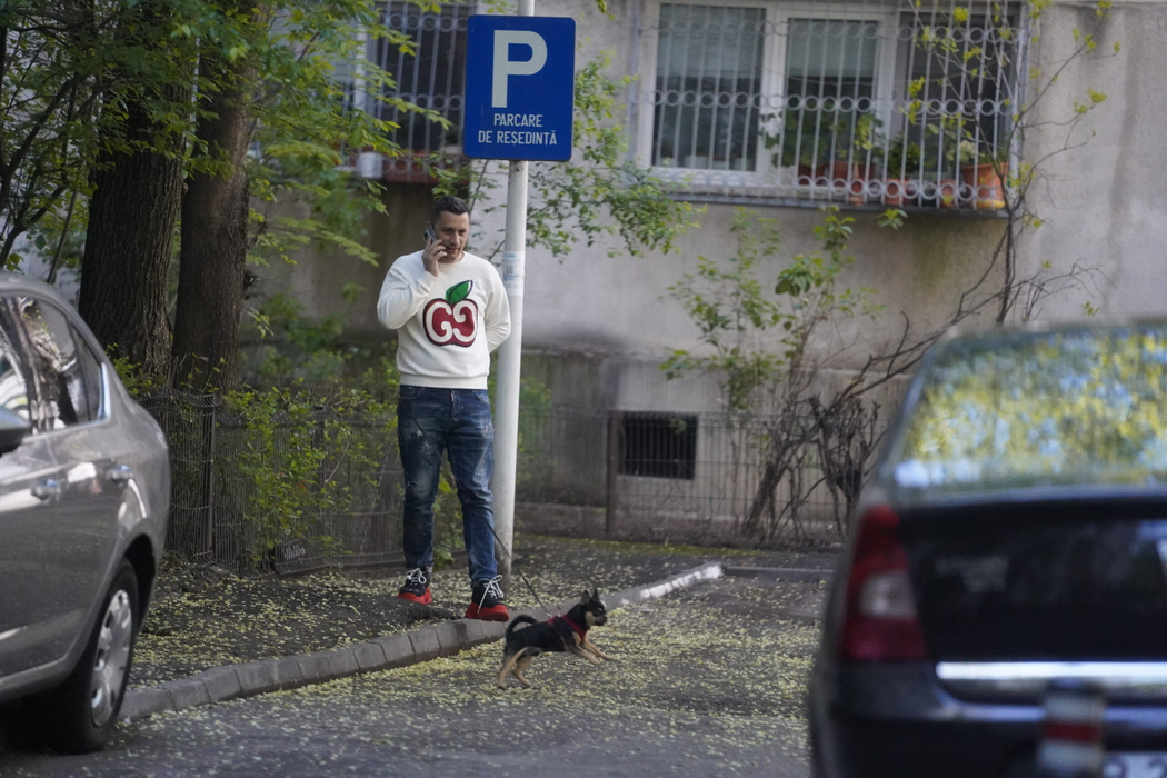 Flick mai are puțin până devine tată, dar până atunci are grijă de cățel (Foto: CANCAN.RO)