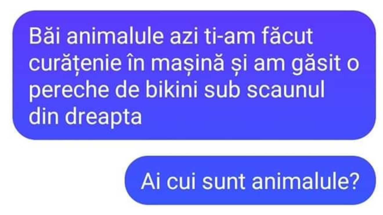 Bancul sfârşitului de săptămână | "Băi, animalule, azi ţi-am făcut curat în maşină"