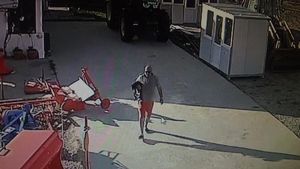 Au furat câinele unei familii din Pielești, Dolj, dar au uitat de camerele de supraveghere. Păgubitul speră ca hoții să fie recunoscuți