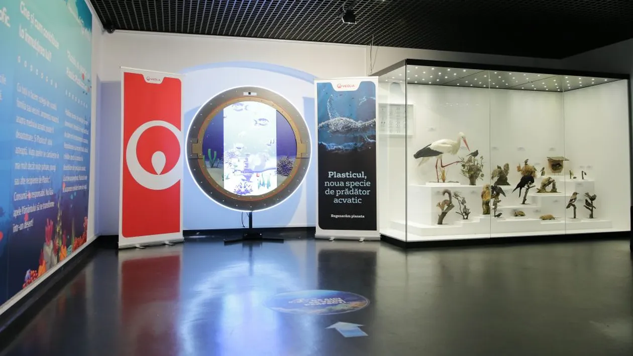 Veolia România susține lupta împotriva plasticului printr-o dioramă multimedia expusă la Muzeul Național de Istorie Naturală ,,Grigore Antipa”