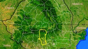 Rezultate Evaluarea Națională 2019 (Capacitate) Argeș