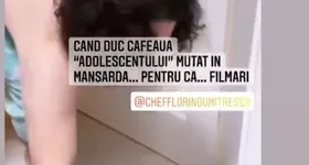 Galerie foto - poza 2