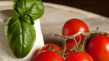 Rosiile au efecte benefice asupra sistemului respirator!