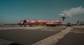 Galerie foto - poza 2