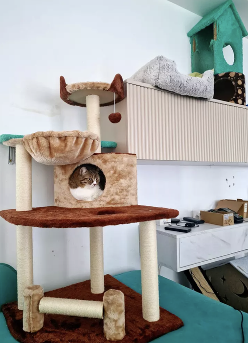 Mihai Trăistariu și-a transformat complet apartamentul. Cum arată livingul dedicat pisicilor