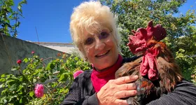 Galerie foto - poza 2