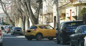 Galerie foto - poza 1