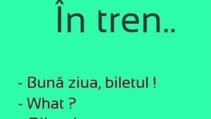 Bancul de weekend | În tren: "Bună ziua, biletul!"