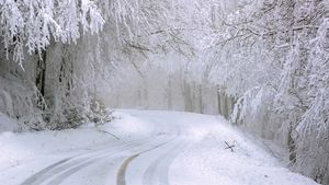 Atenție români. Vortexul polar își va face apariția. Se anunță ninsori abundente