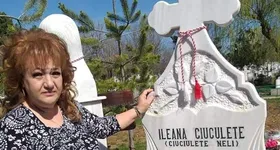 Galerie foto - poza 3