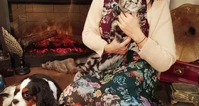 Galerie foto - poza 4