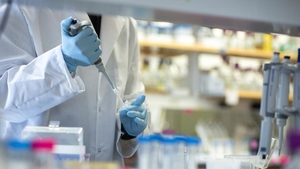Coronavirus poate fi depistat cu aparatele care semnalează gripa la animale