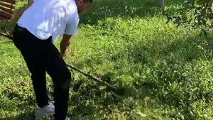 VIDEO. Mihai Morar își încearcă talentul la cosit