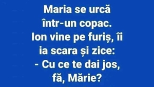 BANC | Maria se urcă într-un copac. Ion vine pe furiș și ia scara: "Cu ce te dai jos?"