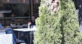 Galerie foto - poza 3