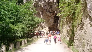 Locul in care a murit mama Monicai Gabor este blestemat. Afla ce au patit cei care au tulburat linistea zonei