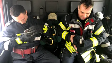 Operațiune de salvare emoționantă a pompierilor. Doi pui de iepure, scoși din flăcări. FOTO&VIDEO