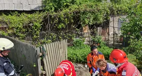 Galerie foto - poza 3