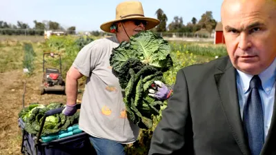 Fermierii anunță un protest uriaș împotriva Guvernului Bolojan! „Agricultura riscă un colaps generalizat”