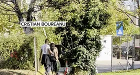 Galerie foto - poza 2