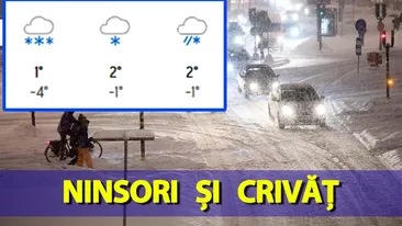 Decembrie cu ninsori și crivăț! Meteorologii Accuweather anunță cum va fi vremea luna viitoare, în România