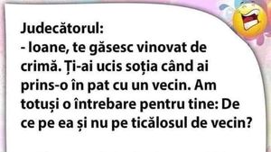 BANC | Judecătorul: "Ioane, te găsesc vinovat de crimă. Ți-ai ucis soția când ai prins-o în pat cu un vecin"