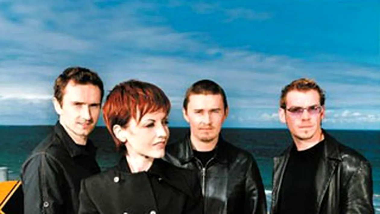 Cranberries vin in Romania